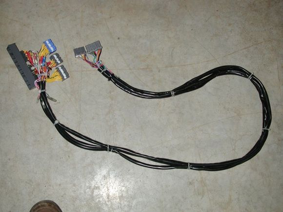 DSCN8055.JPG