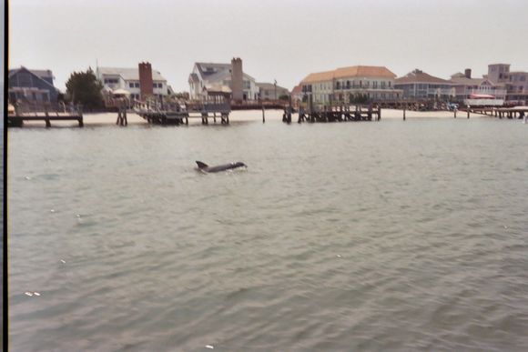 024_23A.JPG