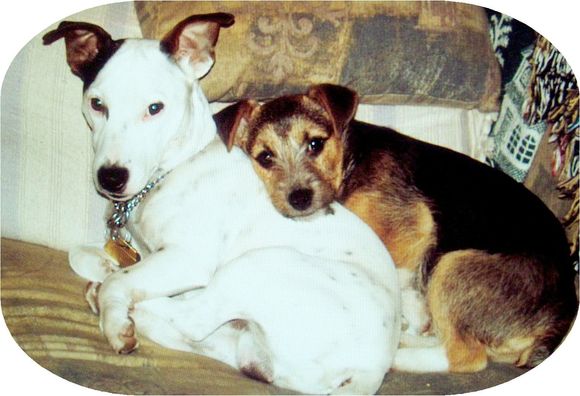 1 Amos and Eddie.JPG