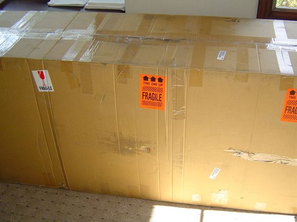 gp sports 007.jpg