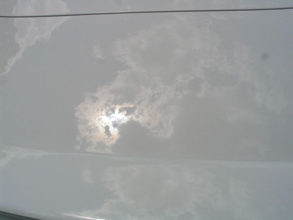Picture 483.jpg