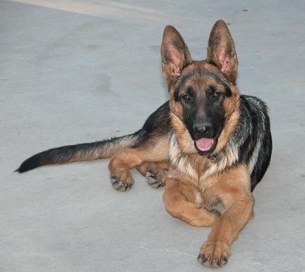 Rogue on 9-16-04