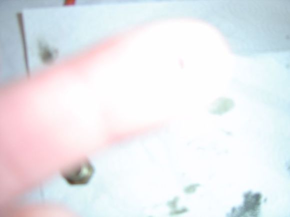 DSC03752.JPG