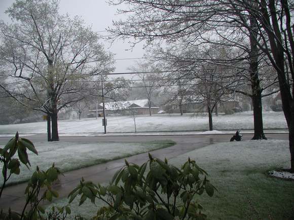 April 24 2005