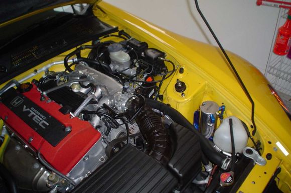 Picture 003.jpg