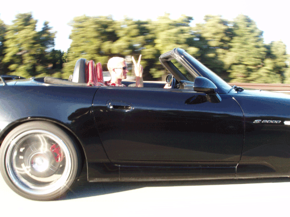 P6110057.gif