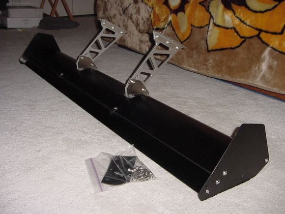 wing2.JPG