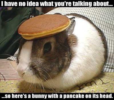 lg_aconfusedbunny.jpg