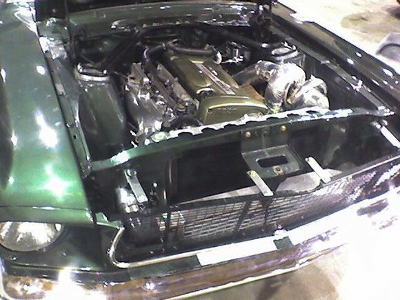 RBMustang2.jpg