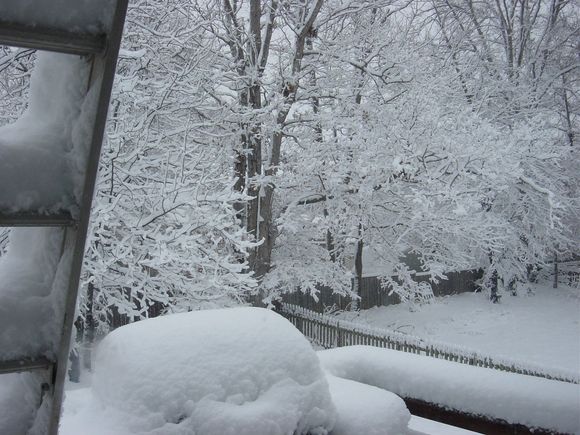 View from back porch