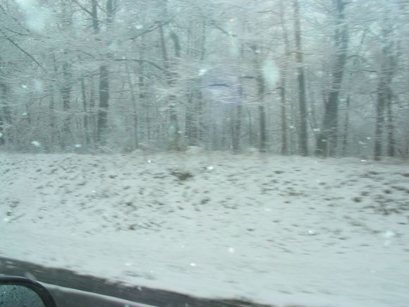 IMG_1557.JPG