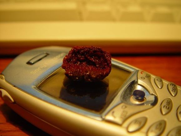 DSC06590 (600 x 450).jpg