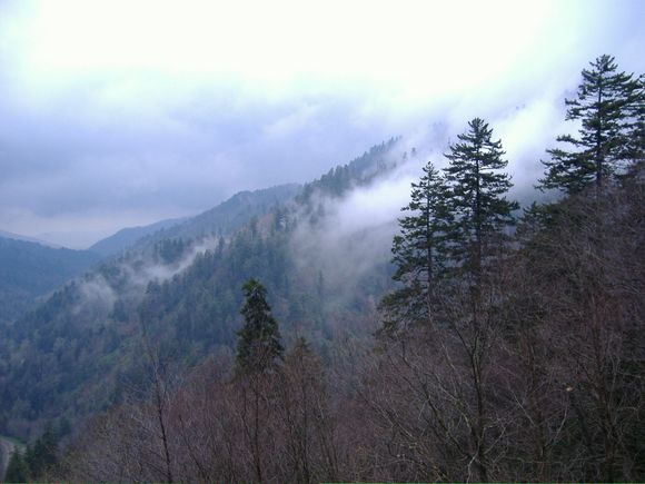 DSCF0718.JPG