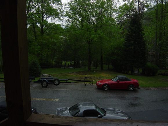 WTD '06 008.jpg