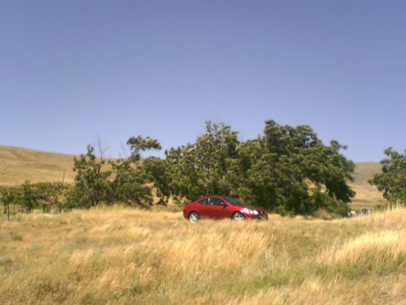 0617061434b.jpg