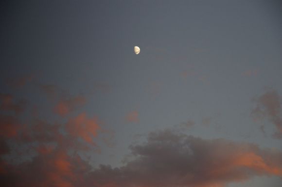 moonshine039.jpg
