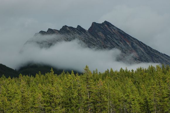 DSC_0132.JPG