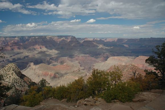 DSC_0348.JPG