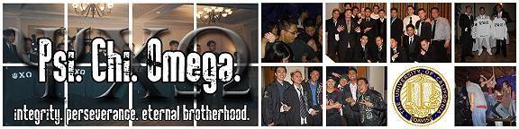 PXO Banner