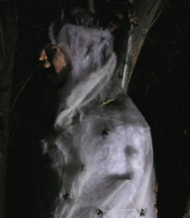 web1.JPG