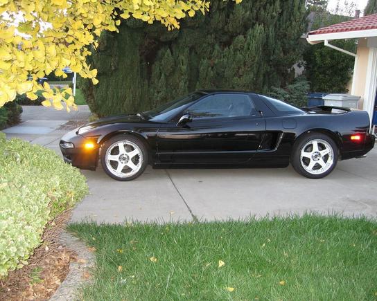 side view straight.JPG