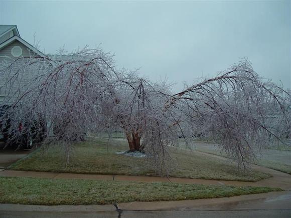 DSC00091 (Medium).JPG