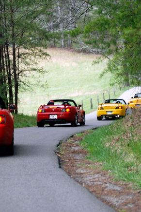 DSC_0095.jpg