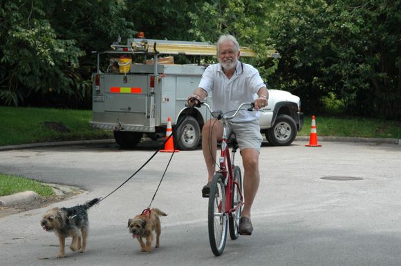 Dogs bike run 011.jpg