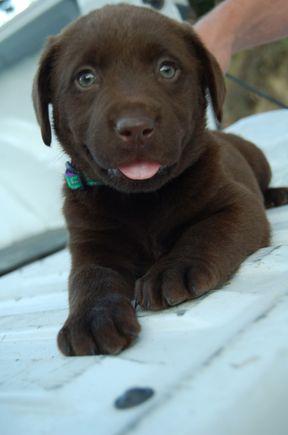 Hunter 2007-06-13_143.jpg