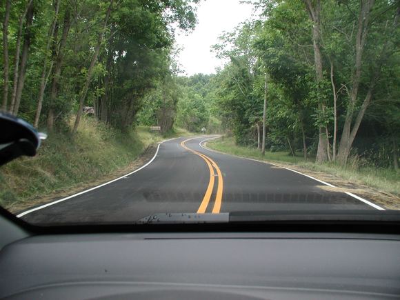 P1010027.JPG