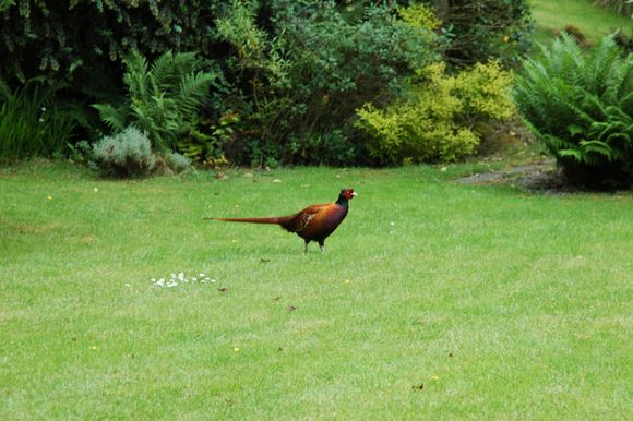 DSC_0045.JPG