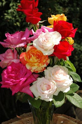 DSC_4775 070715 Roses.JPG