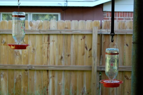 bird_feeders.jpg