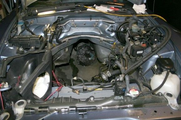 motorout6.jpg