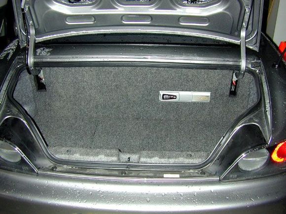 Trunk1.jpg