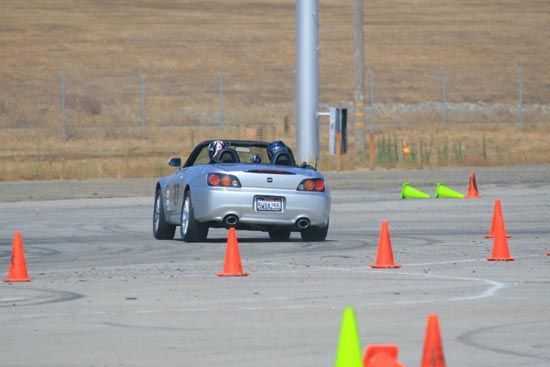 85470246_xTzEYa5k.jpg