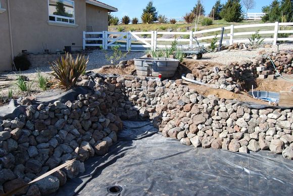 Pond Makeover 2008-02-16_8a.jpg