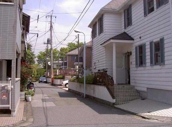 Our street.jpg