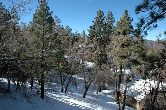 DSC_0656.JPG