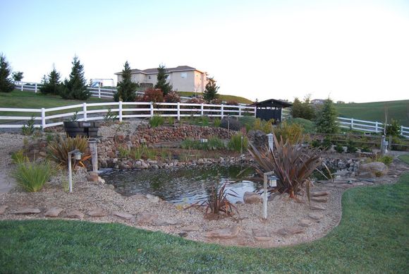 Pond Makeover 2008-03-04.JPG