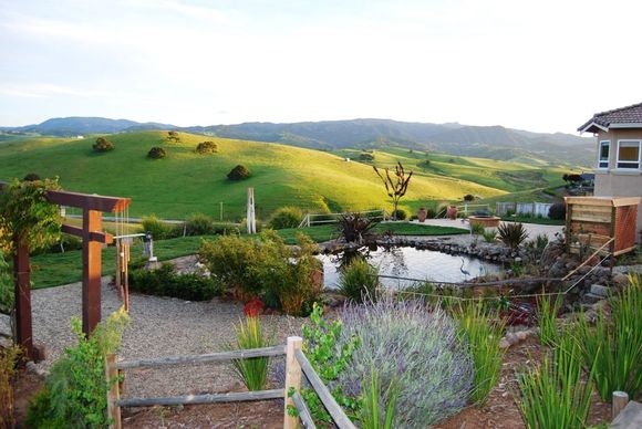 aYard 4-6-08 010.jpg