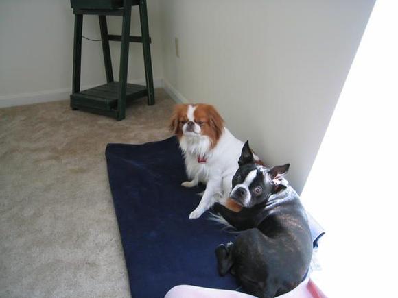 stew and giz.jpg