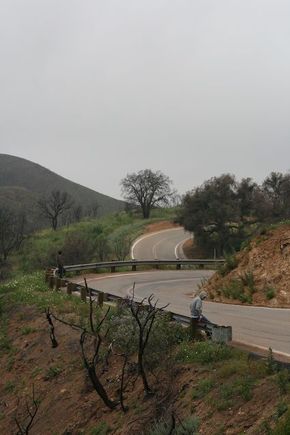 Curves 1-2.jpg