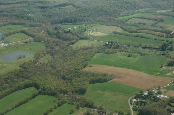 DSC_9082 080503 Pitt from air.JPG