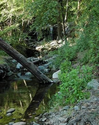 DSC_9327 080601 stream.JPG