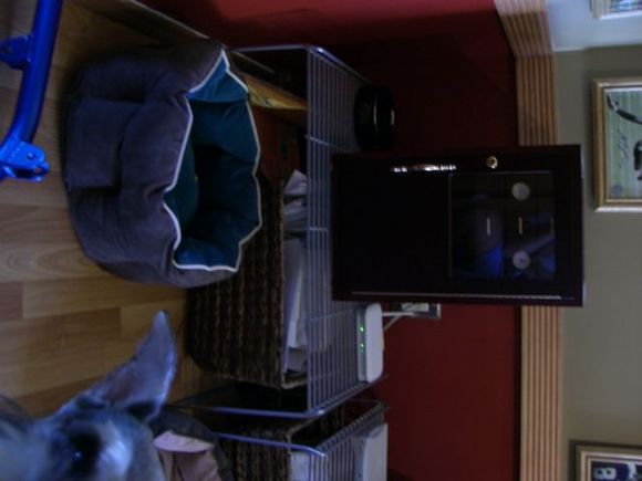 Wake the Dragon 08 173.jpg