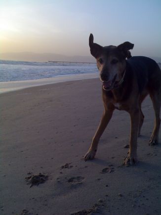 Cleo (10).jpg