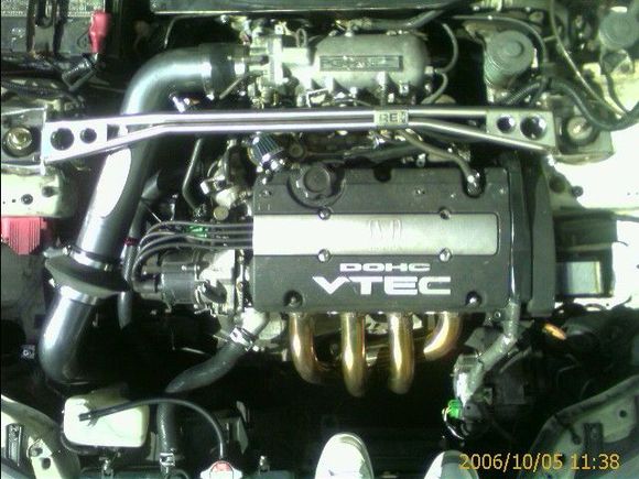 the heart and soul of my beast.jpg
