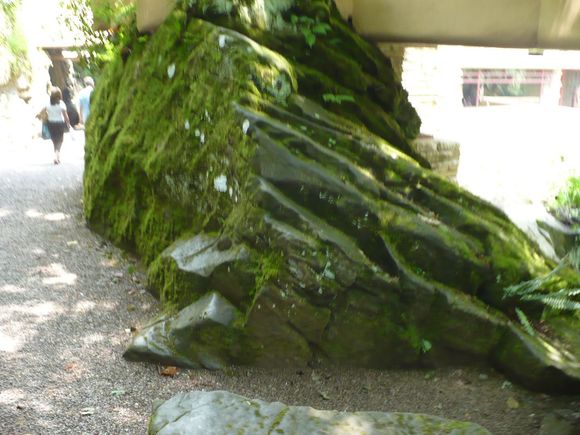 Vacation 2008 013.jpg