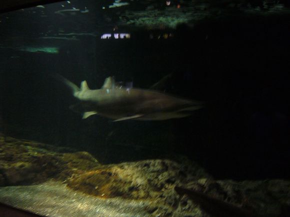 Vacation 2008 165.jpg